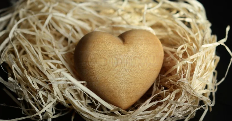 The natural materials that do the actual work